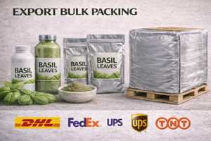 WARRLY Polvo de Tulsi Natural, Superalimento Herbal, Extracto de Albahaca Sagrada 99% Puro, Grado Alimenticio, Envasado al Vacío, Proveedor de Exportación a Granel en Lata - Product Image 5