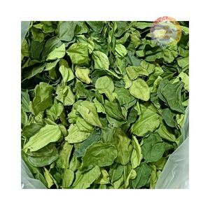 Feuilles de citron vert séchées d'origine vietnamienne de qualité supérieure, en promotion 2026, feuilles de citron vert super citrique pour usage Feng Shui, fabriquées au Vietnam - Product Image 5