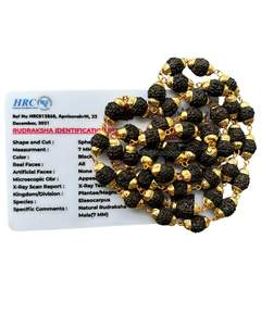 Mala de Rudraksha Panchmukhi Certificada con Certificado de Laboratorio, 108 Cuentas, 7 mm, Color Marrón - Product Image 1