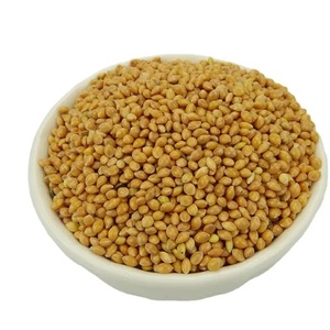 Good Quality Factory Wholesale Organic Fresh Yellow Glutinous Corn <b>Millet</b> TZ453G Brand - Product Image 1