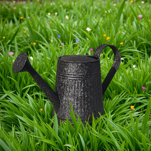 Regadera de Metal Negra con Boquilla Larga para Plantas de Interior, Jardín, Patio, Césped, Flores y Hogar - Product Image 1