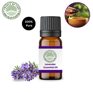 Huile essentielle de lavande Lavandula angustifolia ZenAum Essences - Product Image 6