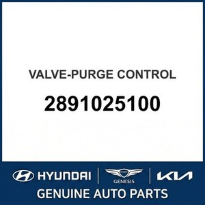 Carens Nuevas Piezas y Accesorios para Autos y Camiones 2891025100 - Product Image 1