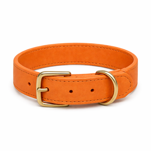 Collier pour chien en cuir véritable de luxe avec rembourrage doux en cuir pleine fleur, quincaillerie dorée et décoration en dentelle pour chiens de petite/moyenne taille - Product Image 3