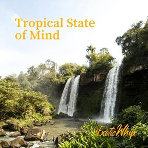 Distributeur mondial vendant une machine à crème fouettée ExoticWhip de qualité inégalée avec option de logo personnalisé - Product Image 3