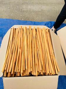 Canela en Tiras/Cassia en Tiras Seca 1000kg Alta en Aceite Calidad Premium Vietnam Precio Económico Contactar a Sra. Doris +84 35 254 2206 - Product Image 1