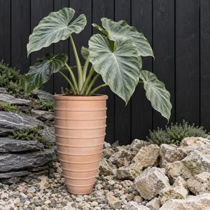 Lot de pots en ciment cerclés, couleur pêche terre cuite, pour aménagement de maisons de présentation, villas et aménagement paysager, destiné aux promoteurs immobiliers, commande en gros - Product Image 2