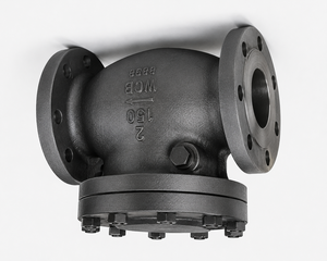 Factory Direct C-Way 2 Inch Class 150 Flanged Swing Check Valve Manual <b>PTFE</b> WCB Body Raised Face for Water Treatment Plants - Product Image 3