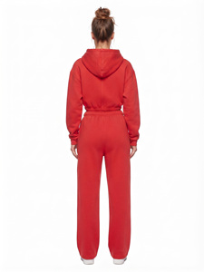 Ensemble de survêtement athleisure deux pièces pour femme OEM, coupe courte, à capuche, avec pantalon large, personnalisable, en tissu épais, zippé, style streetwear - Product Image 2