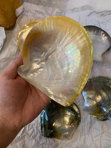 Vietnam Handmade Mother of Pearl Plate Natural Shell Material for Jewelry Display Serving Decor Polished Use - Product Image 3