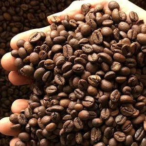 Café Arábica Tostado y Molido Especialidad de Vietnam, Suministro a Granel para Importadores, Solo Negro y Partido al 0.1%, Certificado por el USDA - Product Image 1