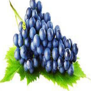 Las uvas son un producto estrella de la granja: uvas frescas de la finca. - Product Image 1