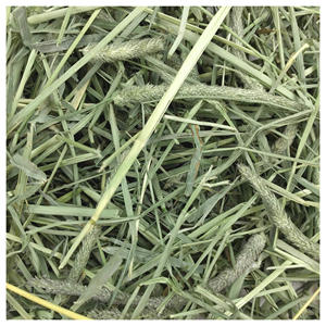 Heno de Timothy/Alfalfa en Pacas para Exportación, Disponible en Stock - Product Image 4