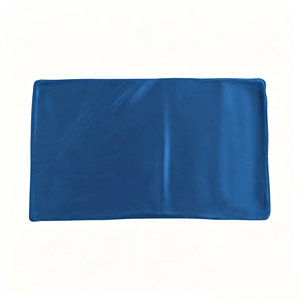 Taies d'<span class=keywords><strong>oreiller</strong></span> rectangulaires en soie de mûrier <span class=keywords><strong>anti</strong></span>-acariens et antibactériennes ODM/OEM 48x74cm, argentées, de luxe, pour hôtels, textiles de maison - Product Image 1