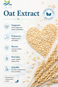 HGO Factory Direct Supply Natural <b>Oat</b> Extract (Food Grade) Specification <b>Oat</b> Beta-Glucan 80% (Standardized Extract) - Product Image 2