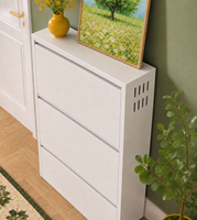 ASSOC Meuble à chaussures mural peu encombrant 3/4 niveaux, organisateur de chaussures étroit en acier avec amortisseur à fermeture douce pour entrée, compatible OEM