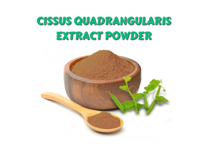 Extracto de Cissus Quadrangularis 100% Puro y Natural 20:1 Premium - Product Image 3