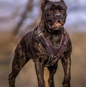 Custom Leather <b>Dog</b> <b>Harness</b> Heavy Duty <b>Adjustable</b> Pet Vest No Pull Training Walking <b>Harness</b> for <b>Dogs</b> Accessories 20kg+ All - Product Image 2