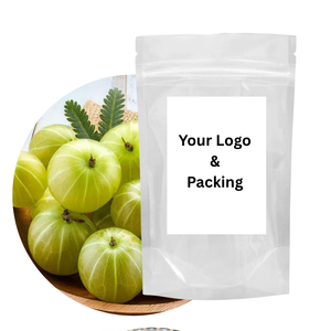 Extracto de Fruta de Amla Pura en Polvo, Grado Alimenticio, Suplementos Herbales, Patil Foods India, Venta al Por Mayor - Product Image 3