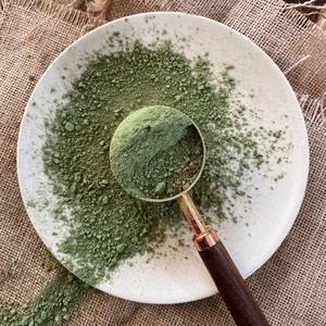 Poudre d'indigo en gros pour la coloration des cheveux, la croissance capillaire et la santé du cuir chevelu, disponible à prix abordable depuis l'Inde - Product Image 4