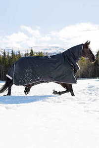 Horse Riding Rugs Premium designed with waterproof fabric breathable lining ensuring warmth comfort and long lasting durability - Product Image 6