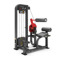 Equipo de Gimnasio Comercial para Entrenamiento de Fuerza y Culturismo: Máquina de Extensión de Espalda con Selector de Peso y Carga de Placas
