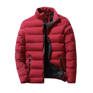 Veste matelassée coupe-vent respirante grande taille pour homme, style décontracté automne, couleur personnalisée, streetwear, vestes pour homme - Product Image 1