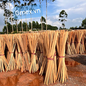 Vietnam Factory Direct Wooden <b>Broomsticks</b> with Italian Screw Strong Durable GMEX Wholesale Supplier Premium Quality 2026 - Product Image 4