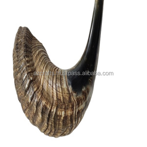 Instrumento musical tradicional Shofar de cuerno de Carnero Negro natural pulido con estilo náutico y animal - Product Image 1