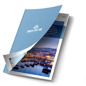 Brochures professionnelles, impression couleur personnalisée pour la promotion des entreprises, événements, publicité, vente en gros, directement de l'usine - Product Image 2