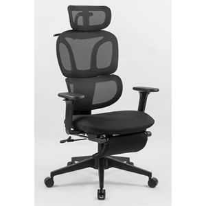 Sedia da Ufficio Ergonomica con Schienale Alto, Supporto Lombare Dinamico, Poggiatesta 2D, Braccioli 4D, Poggiapiedi, Comoda Sedia da Computer - Product Image 1