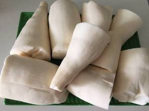 DISPONIBLE |   Blocs de manioc congelés coupés, racines de yucca pour la cuisine des restaurants, hôtels et foyers, fournis par Blue Lotus - Product Image 2