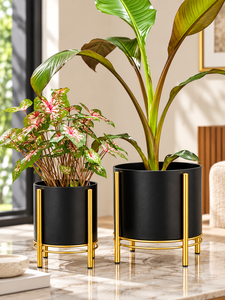 Macetero Moderno de Metal Negro con Soporte Dorado, Elegante Porta Macetas para Interiores, para Sala de Estar, Oficina, Dormitorio, Balcón y Ambientes de Lujo - Product Image 1
