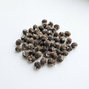 Semillas de Algodón de Alta Calidad al por Mayor para Plantación Agrícola, Pedidos al por Mayor, Granjas Comerciales y Mercados Globales - Product Image 5