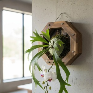 Jardinière murale hexagonale en bois avec insert en maille pour plantes et fleurs d'intérieur, design minimaliste, jardinière suspendue - Product Image 5