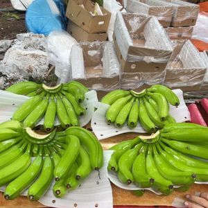กล้วยคาเวนดิชขายดี ผลไม้สดสีเขียวเหลือง พร้อมรับประทาน - Product Image 5