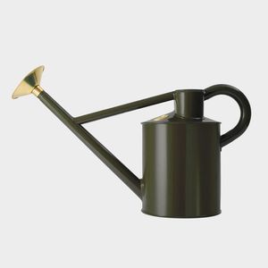 Arrosoir en métal idéal pour le jardinage quotidien, intérieur/extérieur, matériau résistant à la rouille, bec long pour une arrosage précis. - Product Image 6