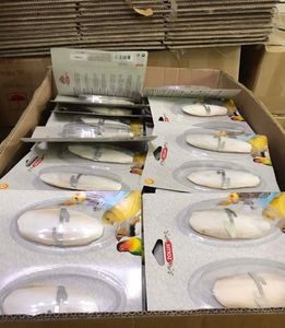 Hueso de Sepia Seco en Piezas Pequeñas de 5-10cm para Alimentación Animal, Cuidado de Mascotas, Fortificante de Calcio, Fabricante - Product Image 1