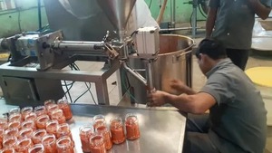Ginger Garlic Paste <b>Packing</b> Machine | Automatic Paste Filling & Pouch Sealing Machine for Food Packaging - Product Image 4