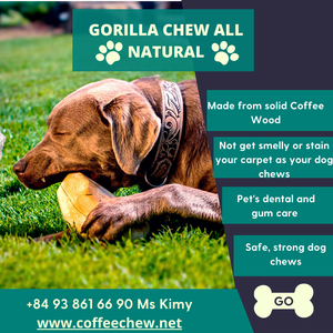 GORILLA 100% Juguete masticable para perros de madera natural para limpiar los dientes Juguete duradero para mascotas + 84 378 599 494 Ms Sara - Product Image 3