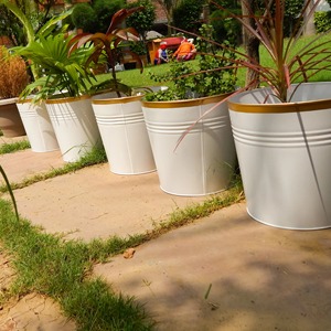 Maceta Metálica en Forma de Cono, Moderna y Decorativa, para Plantas de Interior y Exterior, para Hogar, Balcón, Sala de Estar, Oficina - Product Image 1