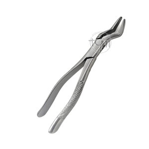 Pinzas de Extracción de Acero Inoxidable Duradero, Herramienta de Cirugía Dental, Agarre Preciso, Instrumento de Cuidado Bucal - Product Image 2