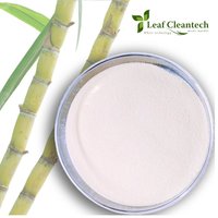 Complexe enzymatique de Fermentation de sirop de jus de sucre de canne pour la production d'alcool-biocarburant d'Inde | Enzymes de Fermentation |