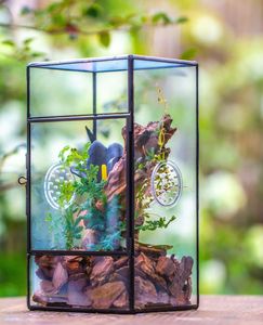 Terrarium en métal et verre personnalisé en forme de diamant, jardinière moderne en verre pour plantes d'intérieur, succulentes, plantes aériennes et terrarium DIY - Product Image 5