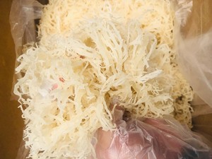 Mousse de mer séchée de qualité supérieure / Mousse de mer irlandaise du Vietnam / Mme Lily - Product Image 2