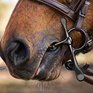 Bocados Ecuestres de Diseño Moderno, Bocados Ecuestres de Acero Inoxidable, Bocados Ecuestres de Agarre Estable, Bocados Ecuestres para Entrenamiento Diario - Product Image 5