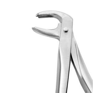 Forceps d'extraction 73A pour molaires inférieures, modèle anglais, en acier inoxydable, instrument chirurgical pour extraction dentaire - Product Image 4