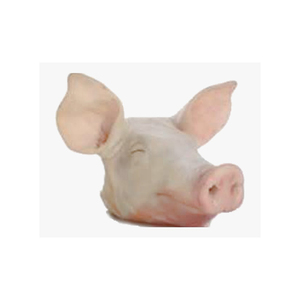 Wholesale High Quality Products Mussels Supply <b>Poultry</b> <b>Meat</b> Sale Pig Frozen Pork Head Bones In Brazil - Product Image 1