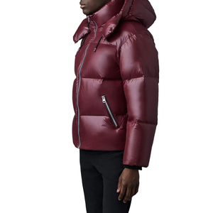 Chaqueta Acolchada de Invierno para Hombre, Talla Grande, con Cierre y Cuello Alto, de Alta Calidad, Nueva Moda, Venta al Por Mayor, Personalizable OEM - Product Image 2