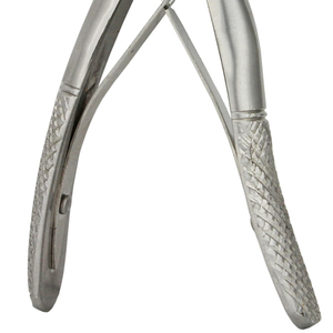 คีมถอนฟันสแตนเลสเกรดพรีเมียม เครื่องมือผ่าตัด คีมถอนฟันสแตนเลส - Product Image 6
